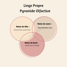 Charger l'image dans la galerie, Billes Fondantes Linge Propre