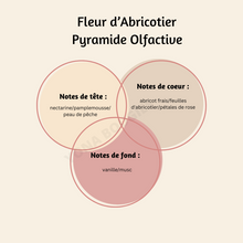 Charger l'image dans la galerie, Snapbar Fleur d'Abricotier
