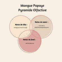 Charger l'image dans la galerie, Snapbar Mangue Papaye