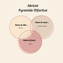 Charger l'image dans la galerie, Snapbar Abricot