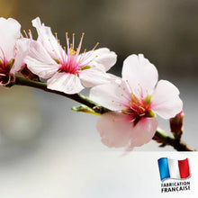 Charger l'image dans la galerie, Snapbar Fleur d'Abricotier