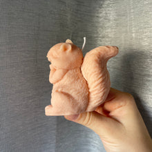 Charger l&#39;image dans la galerie, Bougie - Écureuil
