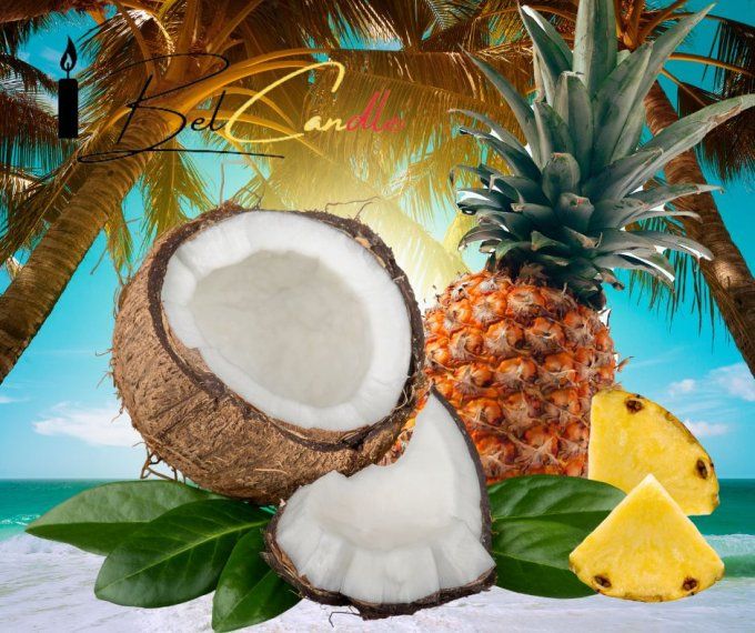 Snapbar Ananas Coco